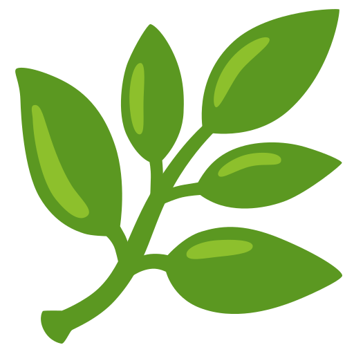 Holistic Development